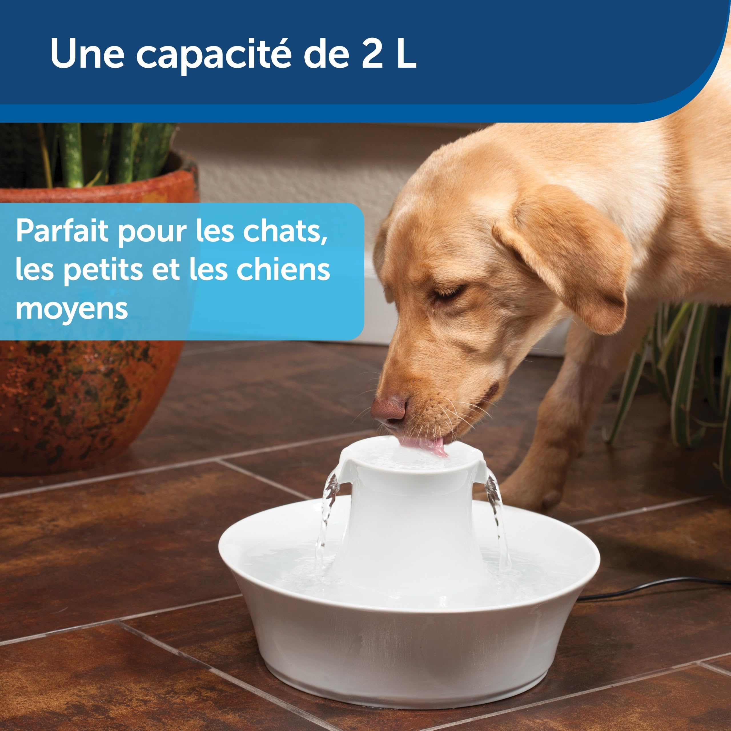 PetSafe Fontaine en céramique Drinkwell Avalon, Eau Potable filtrée pour Chiens et Chats, capacité d'eau de 2 litres, Blanc