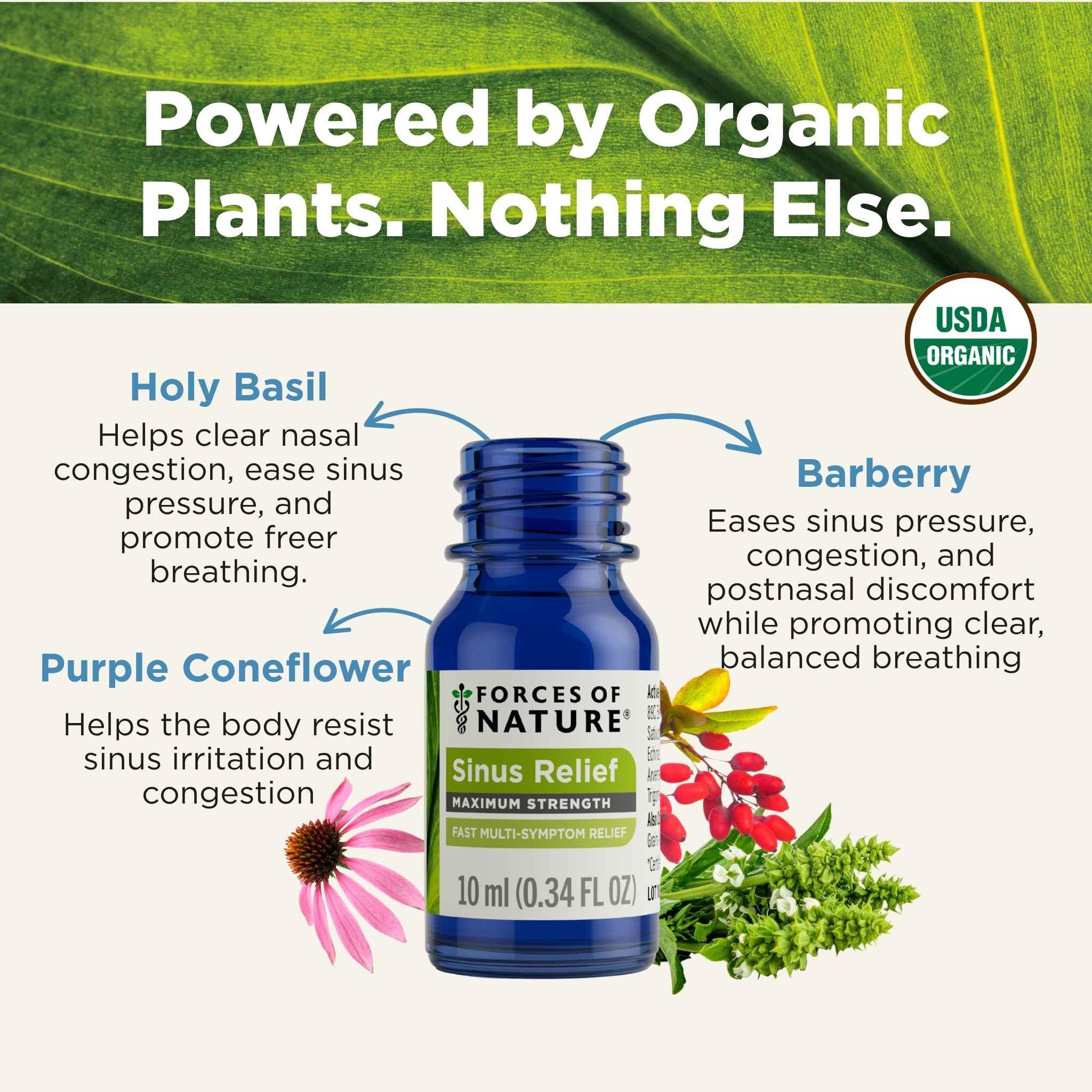 Amazon.com: Forces of Nature Sinus Relief Nasal Decongestant, Organic  Maximum Strength Homeopathic Medicine, Immune Support & Relief from  Congestion, Sinus Pressure, Sneezing, Runny Nose, Non-Drowsy, 1 FL OZ :  Health & Household