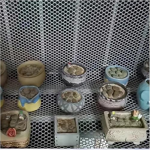 Plastic Pet Fencing for Balcony, Outdoor Large Chicken Wire Mesh, Garden Netting Trellis Roll for Birds Squirrels and Raised Beds, Outdoor