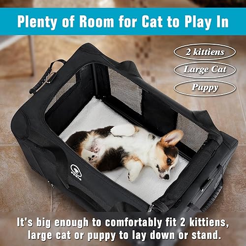 Miniatura 2 de PEGIC Pegic - Transportador grande para gatos para viajes en automóvil, plegable, de lados suaves, para uso en exteriores e interiores, espacioso y