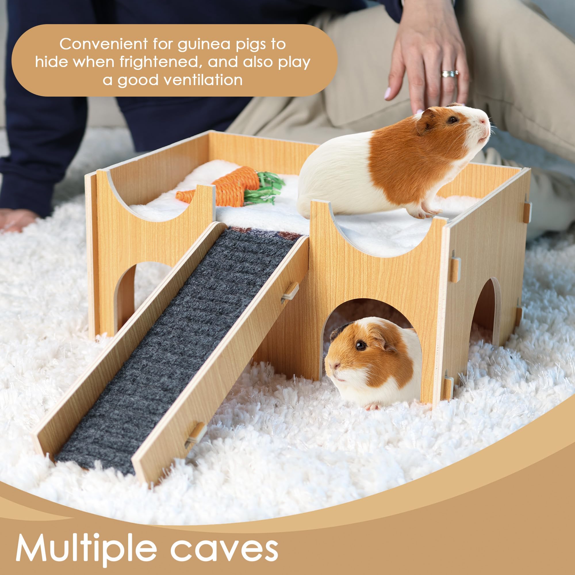 Guinea Pig Stuff Cdipesp Guinea Pig Hideout Hammock With Wooden