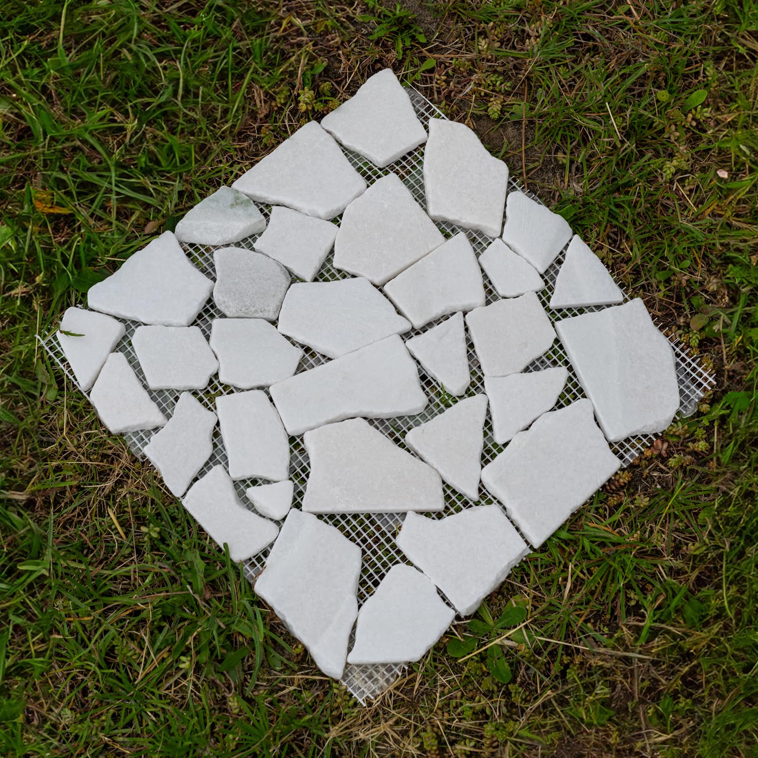 View 6