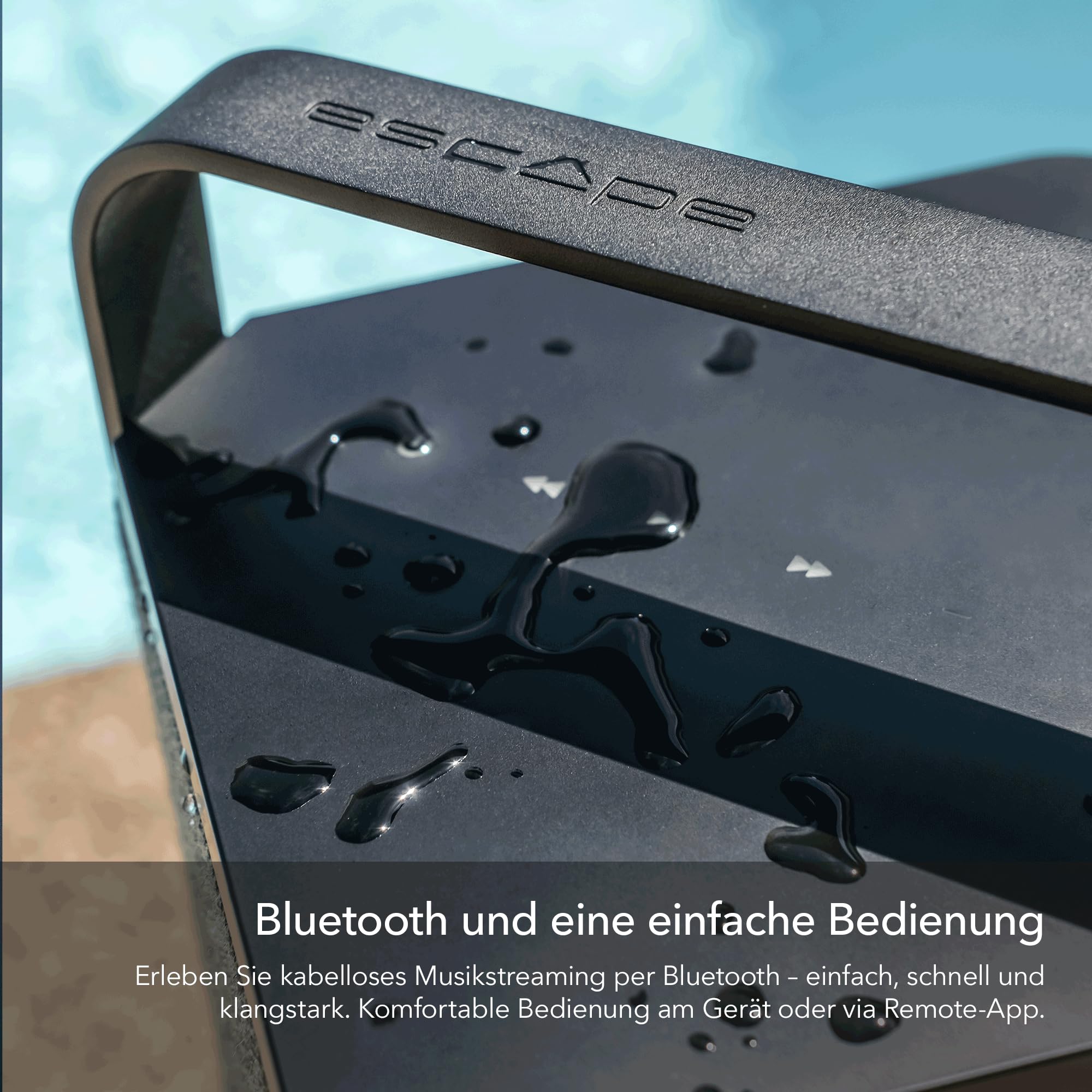 ESCAPE P6 BT przenośny głośnik Bluetooth, 60 W, czas pracy akumulatora 16 h, subwoofer, czarny