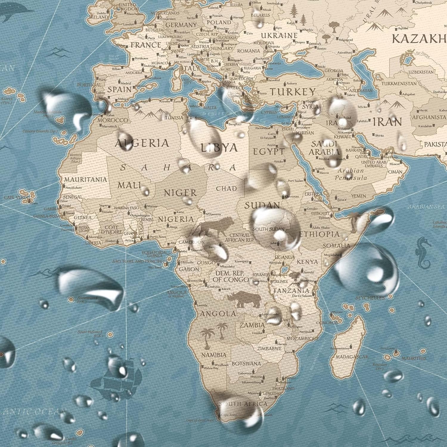 Amazon｜世界地図シャワーカーテン 世界地図 国家教育ファブリック