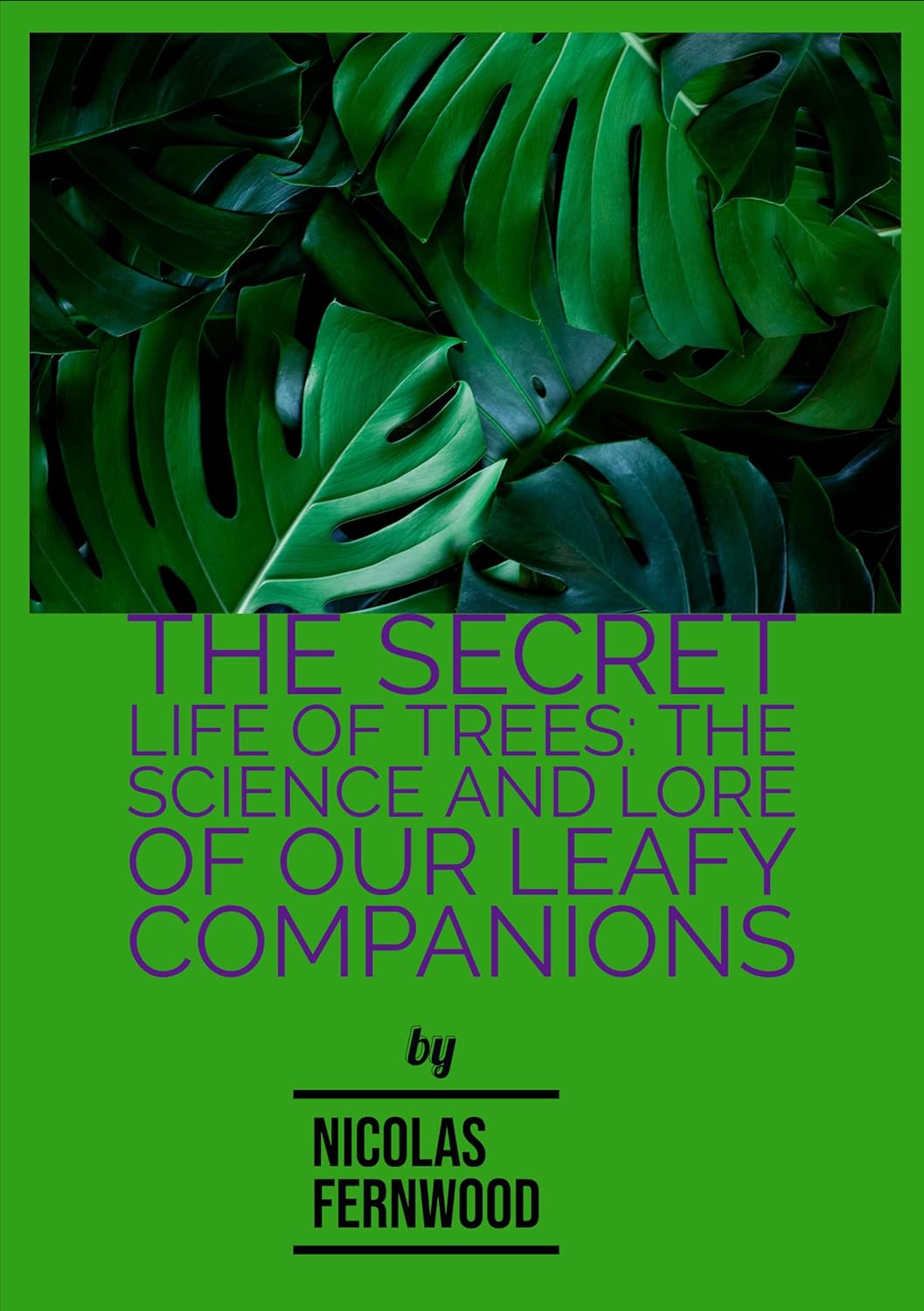 Amazon The Secret Life of Trees The Science and Lore of Our Leafy