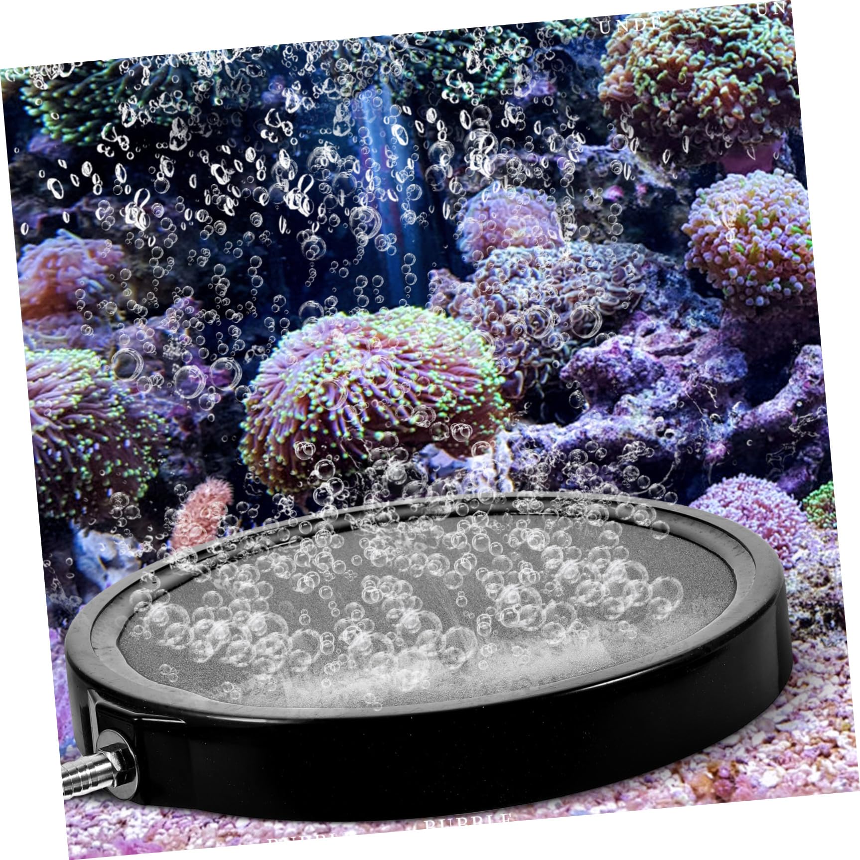 Alipis Pierre à Air Disque Diffuseur à Bulles pour Aquarium Noir en Sable et Gravier Haute Température, Oxygénation, Compatible Pompe à Air Couleur Aléatoire