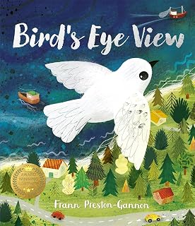 A bird's eye view