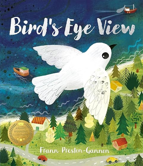 A bird's eye view