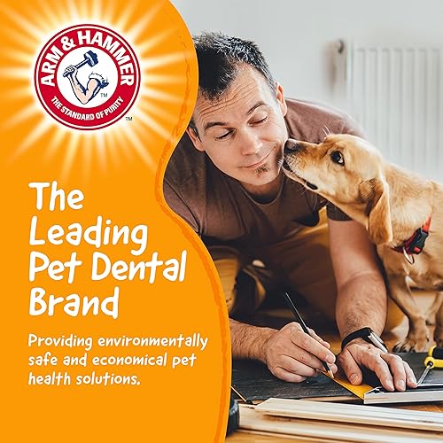 Miniatura 9 de Arm & Hammer Colección de herramientas para masticar para mascotas juguete masticable de martillo de mezcla de madera para perros  Juguetes