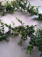 Vista 2 de Boxwood Garland Greenery for Wedding Reception Table, Fireplace Mantel, Parties, 5.5 Feet Long