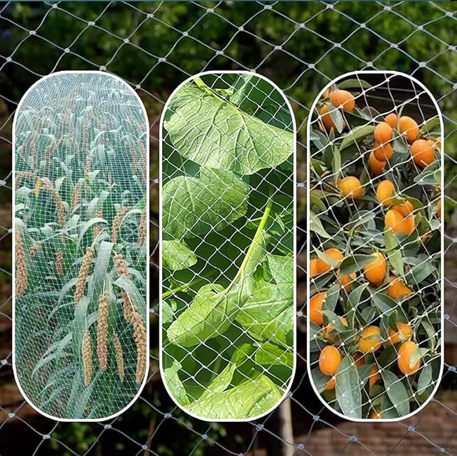 Ge, kit di rete anti uccelli, 3 x 20 m / 10x66ft, resistente rete in nylon C per balcone e giardino, tagliabile, per alberi da frutto e recinzioni per animali domestici, rete a traliccio per