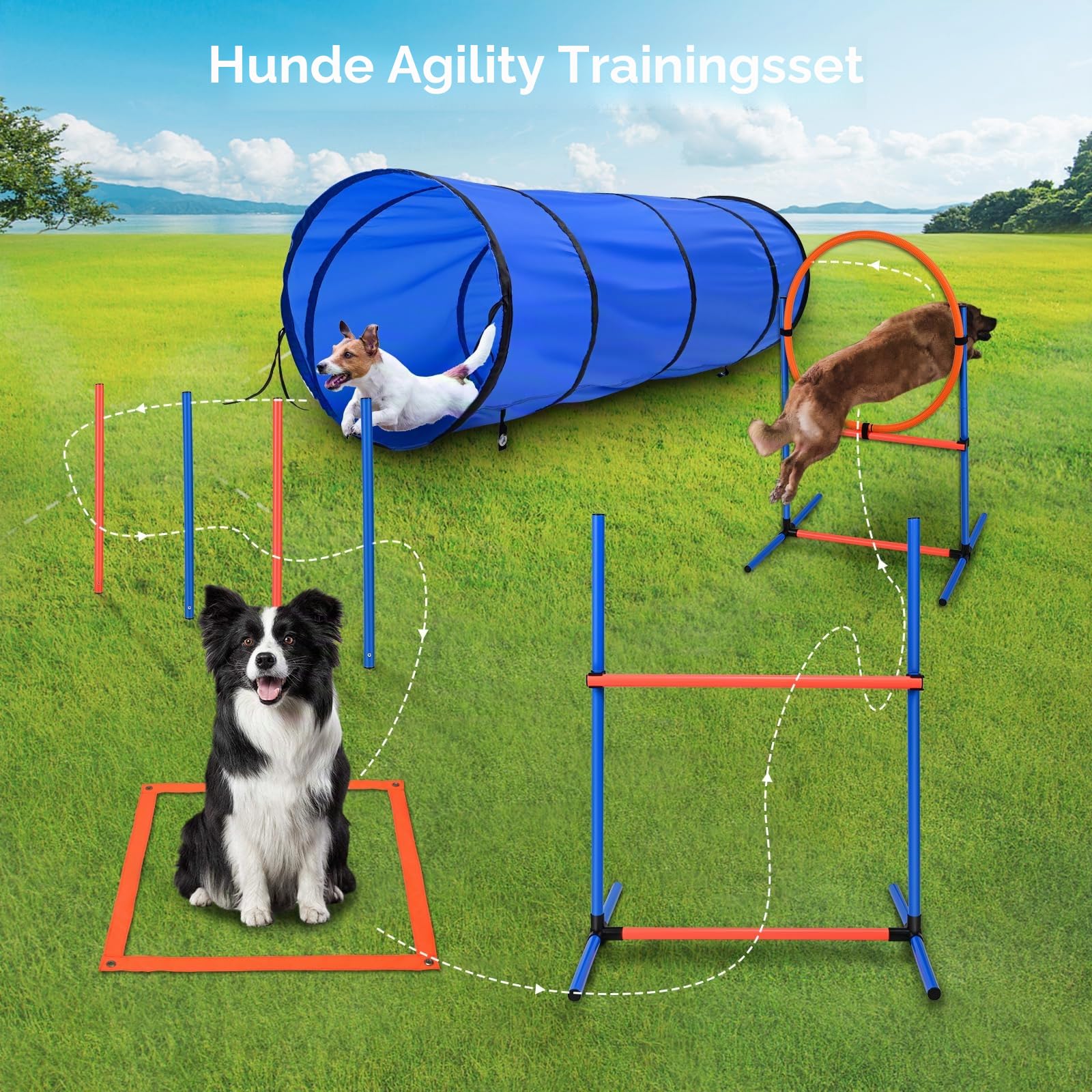 70-Teiliges Agility Set Hunde hundetraining Agility Set Hunde groß 8 Slalomstangen Springring, 2 Ball, Pause-Box, Leckerlibeutel, Tragetasche Hunde intelligenzspielzeug Agility Set