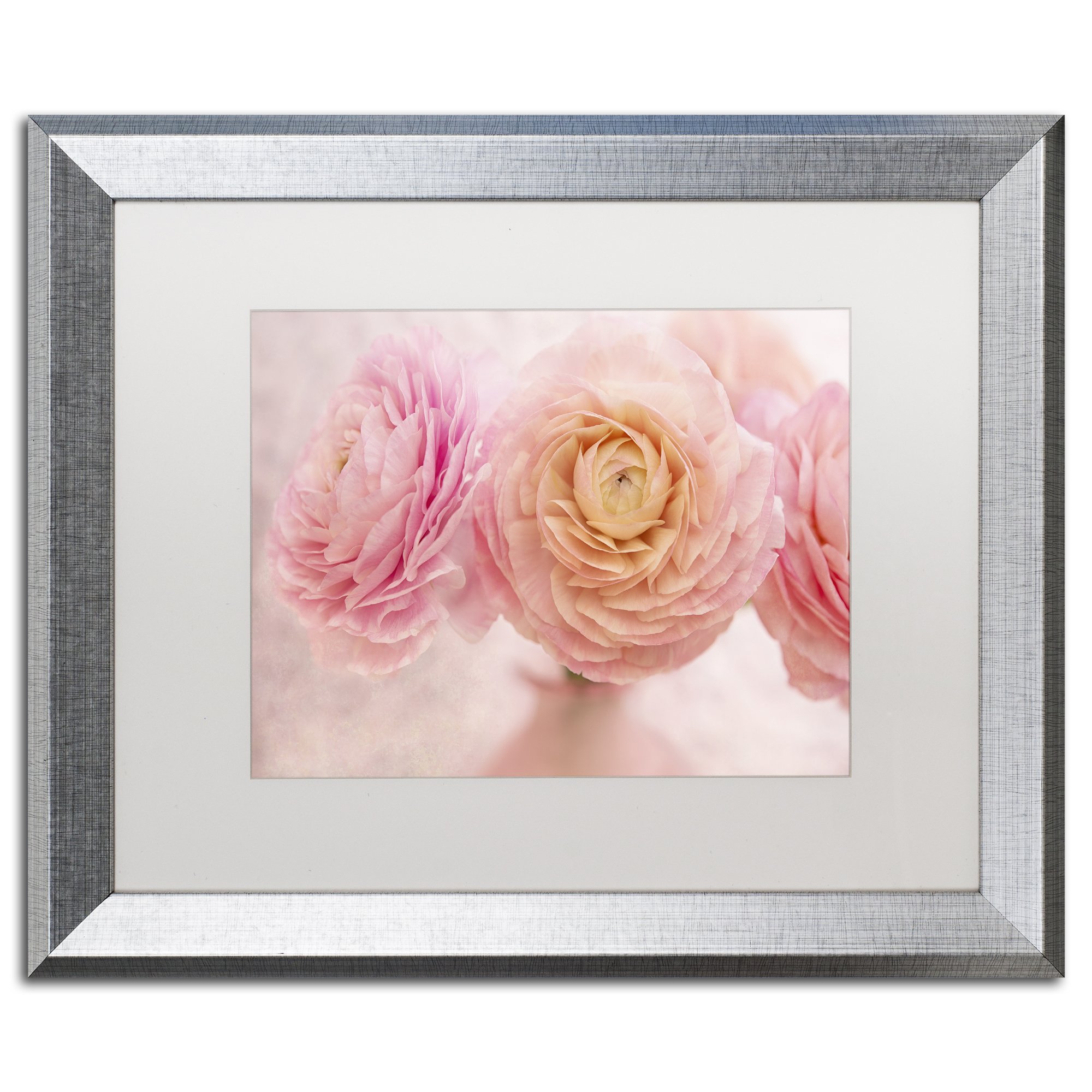 商標Fineアートali1777-c1219gg PureホワイトローズbyコーラNiele