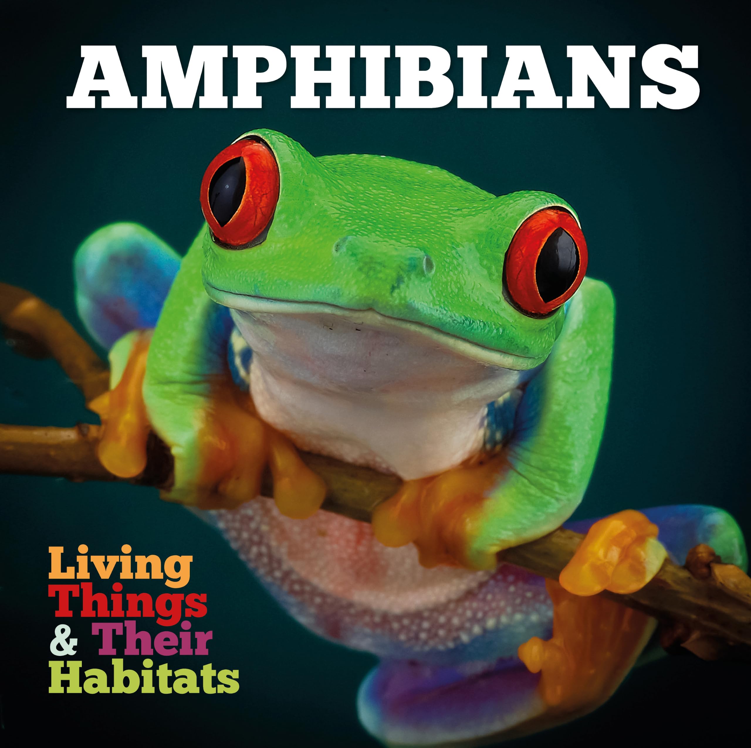 Amphibians (Living Things and Their Habitats)