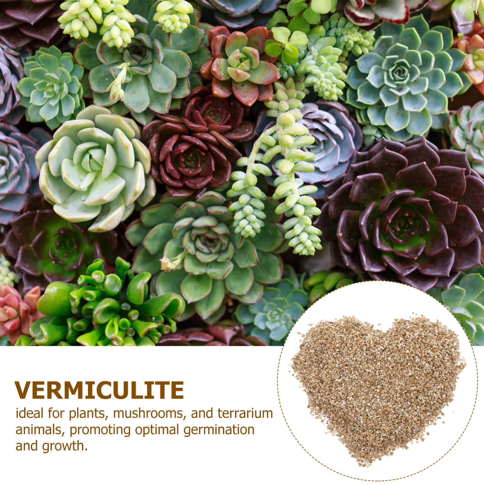 FRCOLOR Vermiculite Espansa 3l PH Neutro per Germinazione e Crescita di Piante e Animali da Terrario Ritenzione Idrica per Coltivazioni Domestiche e Agricole