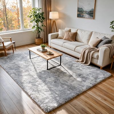 5x7 Fluffy Area Rug for Bedroom, Non Shedding Rug for Living Room Silver