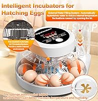 Vista 2 de Incubadoras mejoradas para incubar huevos, incubadora de 12 huevos con giro automático de huevos, control de temperatura y pantalla de humedad, vela