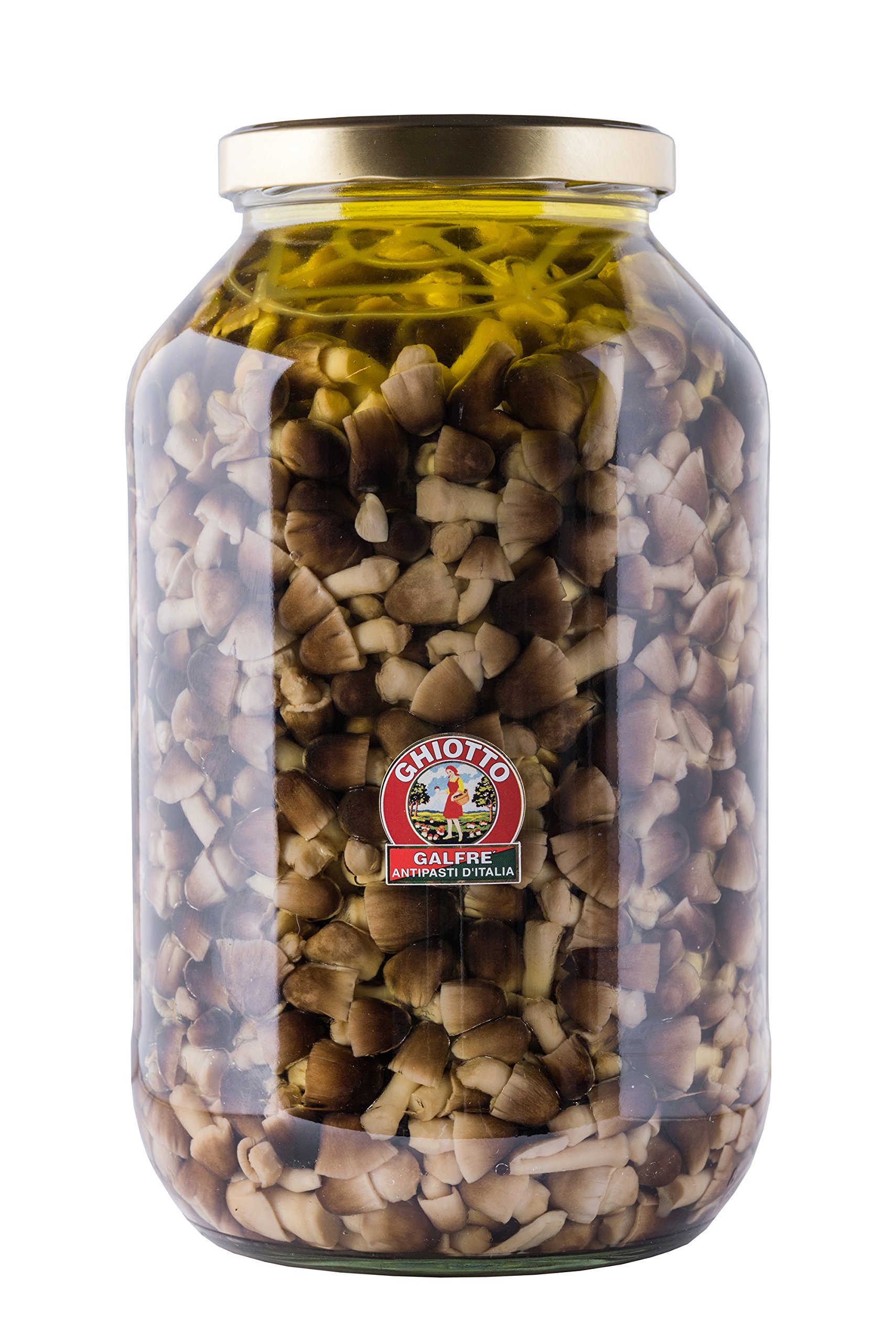 Galfrè Antipasti d’Italia - Große Endverbraucher - Glas Pilze Moss Kg 4,1 - Italienisch Artisan Produkt