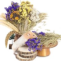 Vista 11 de Almohada Natural de Espiga y Hierbas para Hámsteres, Jerbos y Lemmings, con Decoración Divertida