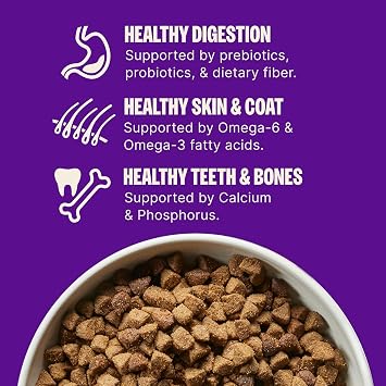 Wellness Complete Health Small Breed Adult Dry Dog Food, Grain Free Kibble, Chicken and Salmon Recipe, 11 lb Bag