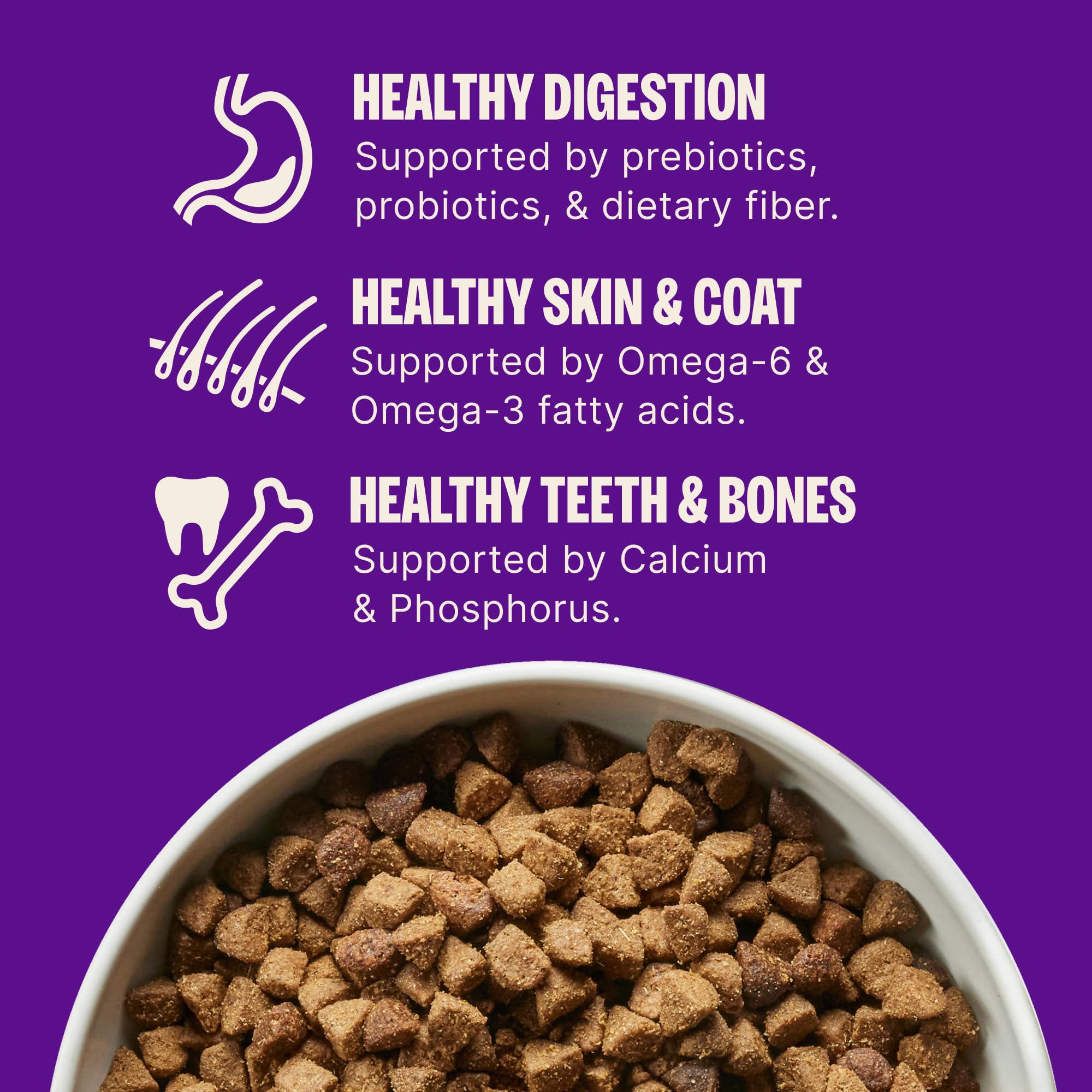Amazon.com: Wellness Complete Health Adult Dry Dog Food, Grain