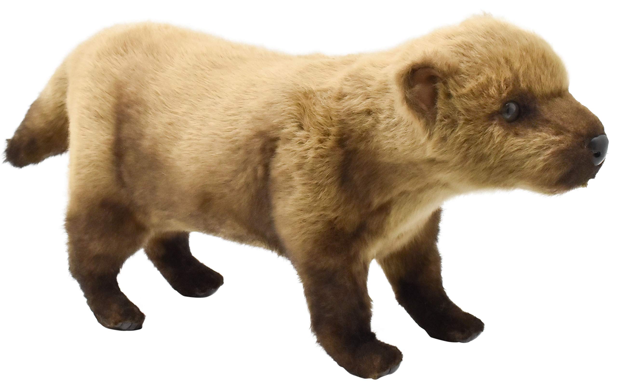 Amazon.co.jp: BH8146 HANSA ヤブイヌ 48 : おもちゃ