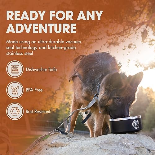Miniatura 3 de Mountain Hound Cuencos de acero inoxidable para perros, cuencos antideslizantes para alimentos y agua, fáciles de limpiar, de grado alimenticio, sin