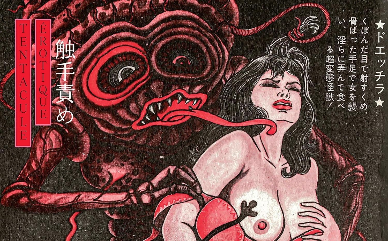 Shunga - Images du désir dans l'art érotique du Japon d'hier et d'aujourd'hui