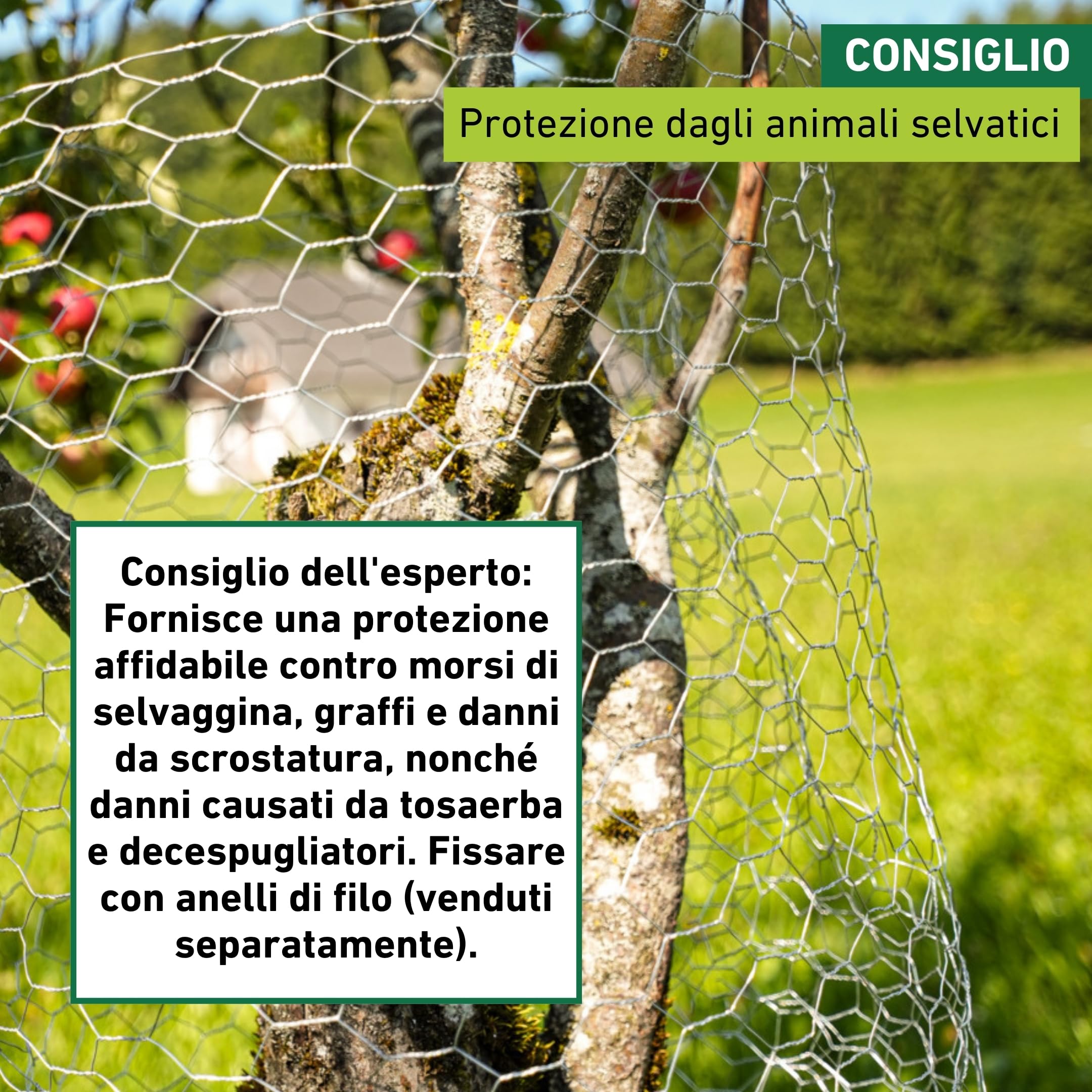 Windhager Recinzione Metallica zincata per Piccoli Animali, per lepri e Galline, Copertura per grondaia, Larghezza Maglie 13 mm, 0,5 x 10 m