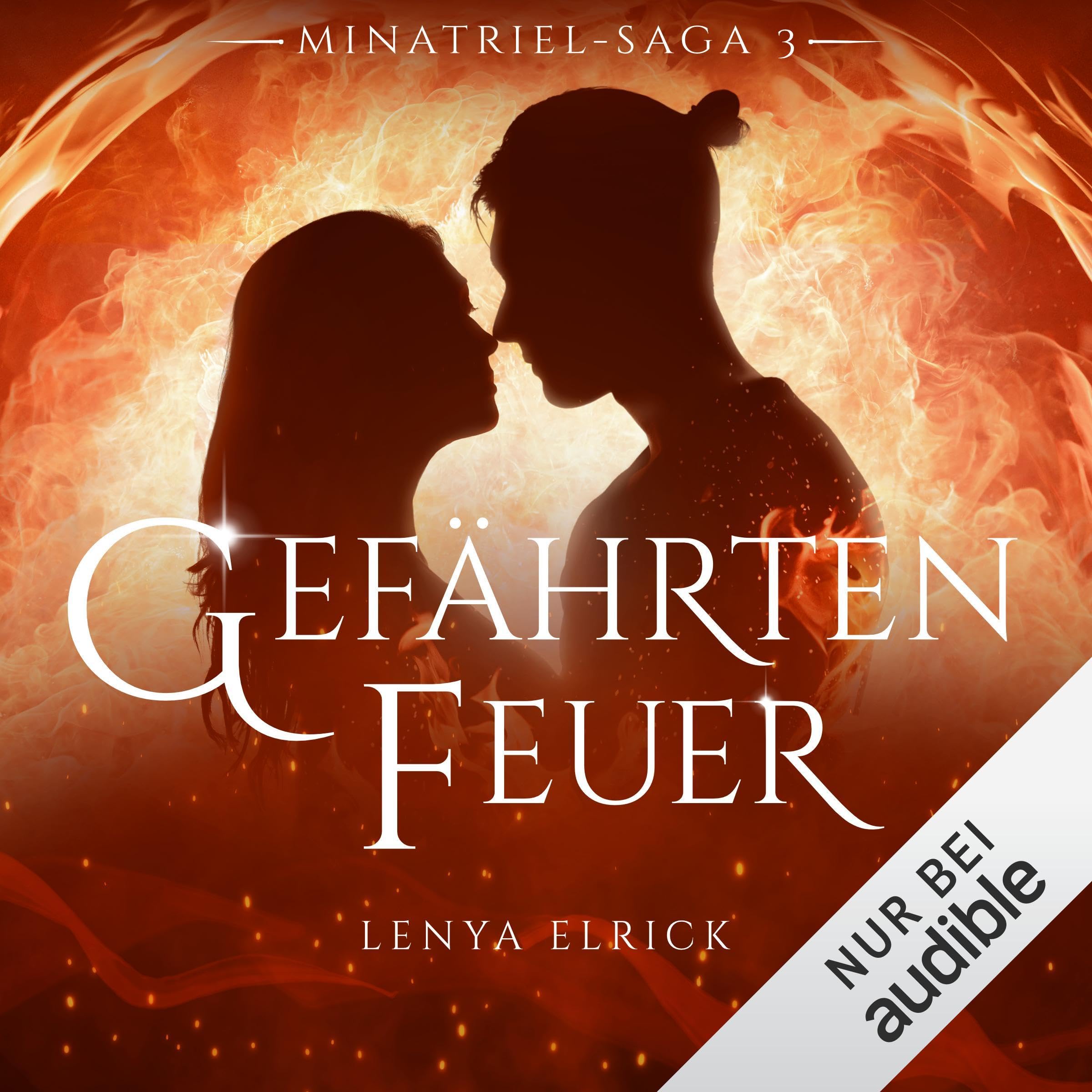 Cover art for Gefährtenfeuer