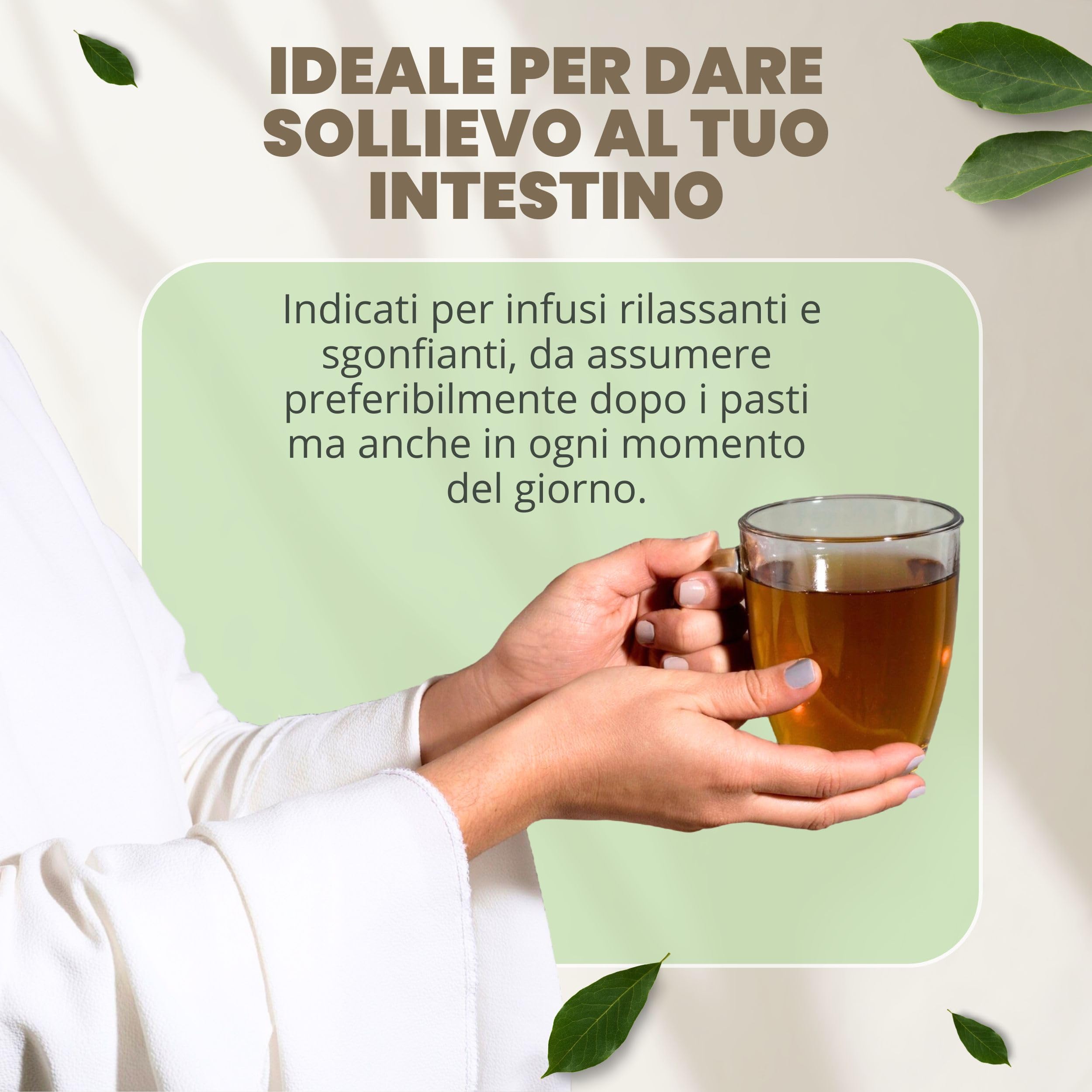 Patrizio Breseghello - Semi Finocchio Frutti Verdi Extra 500 g BIO, Benessere Intestinale e Digestione, Semi di Finocchio per Tisana e Infuso 100% Naturali