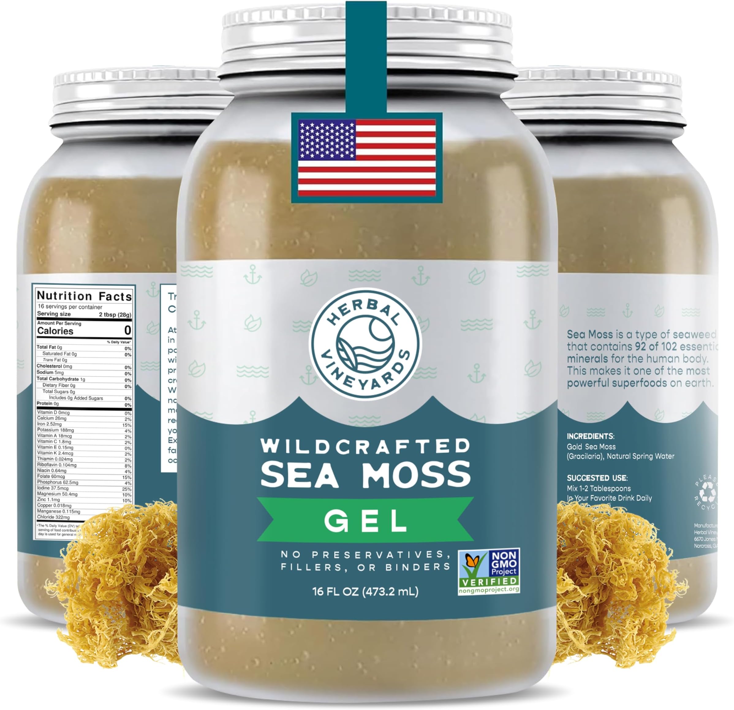 Herbal Vineyards Raw Irish Sea Moss Gel 16oz – Wildcrafted Unflavored | Made with Dried Seaweed & Fresh Sea Vegetables, Natural & Plant-Based, Harvested in Pristine Waters, USA