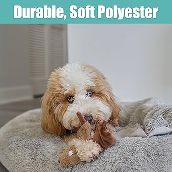 Amazon.com: SPOT Skinneeez Beaver Dog Toy – 14