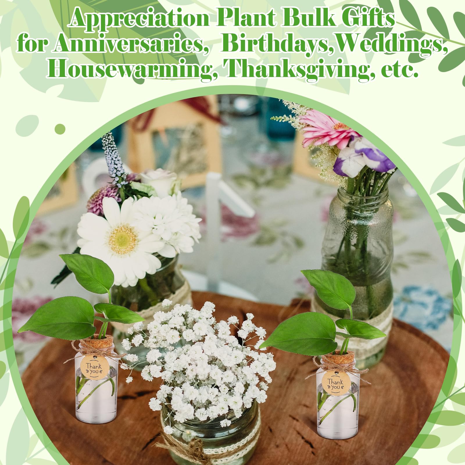 36 paquetes de estaciones de propagación de plantas con tapa de agujero, botellas de cultivo de plástico transparente, recipientes hidropónicos de mesa con etiquetas de agradecimiento para el