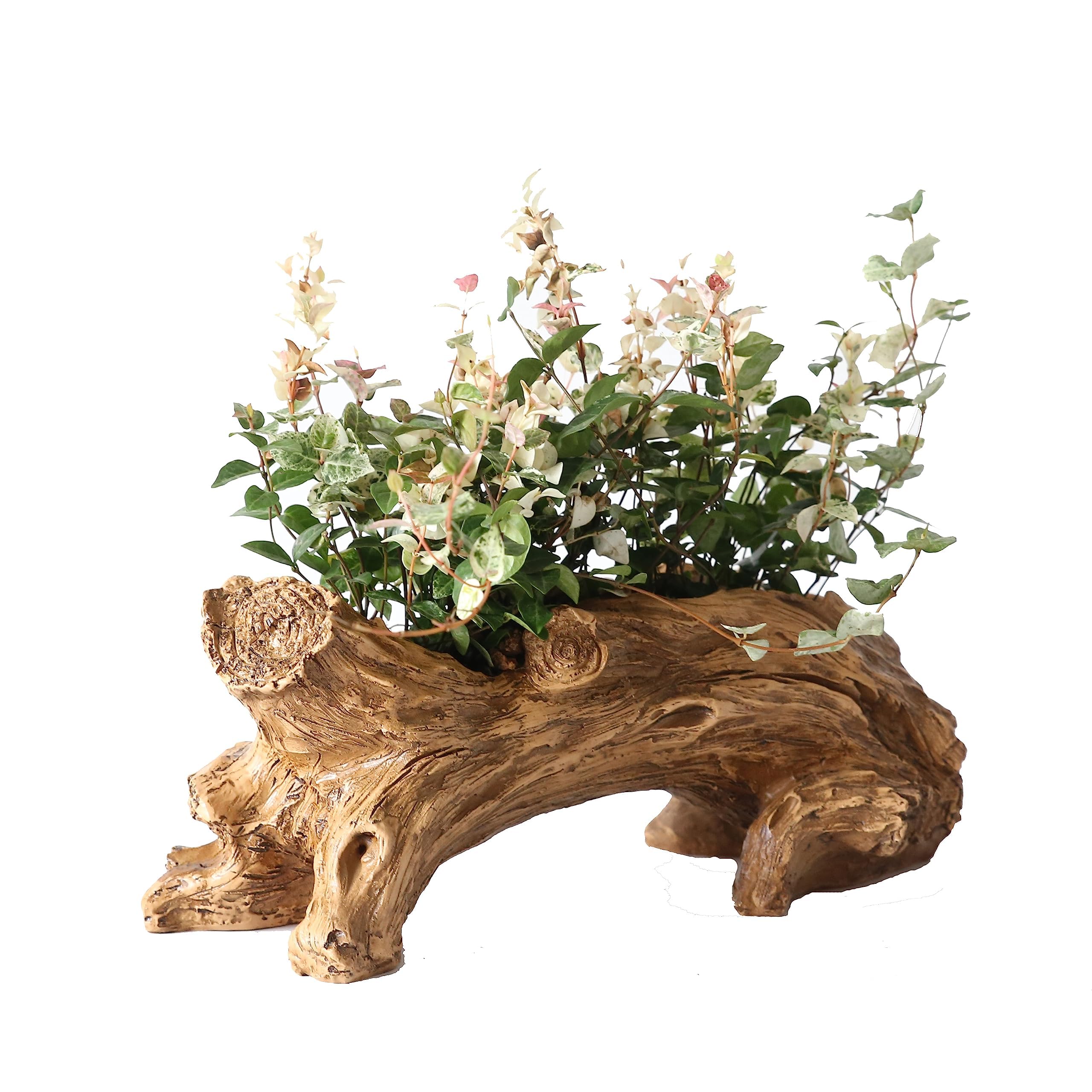 VASO DA FIORI artificiale in legno galleggiante, contenitore per piante EUR 34,99 - IT