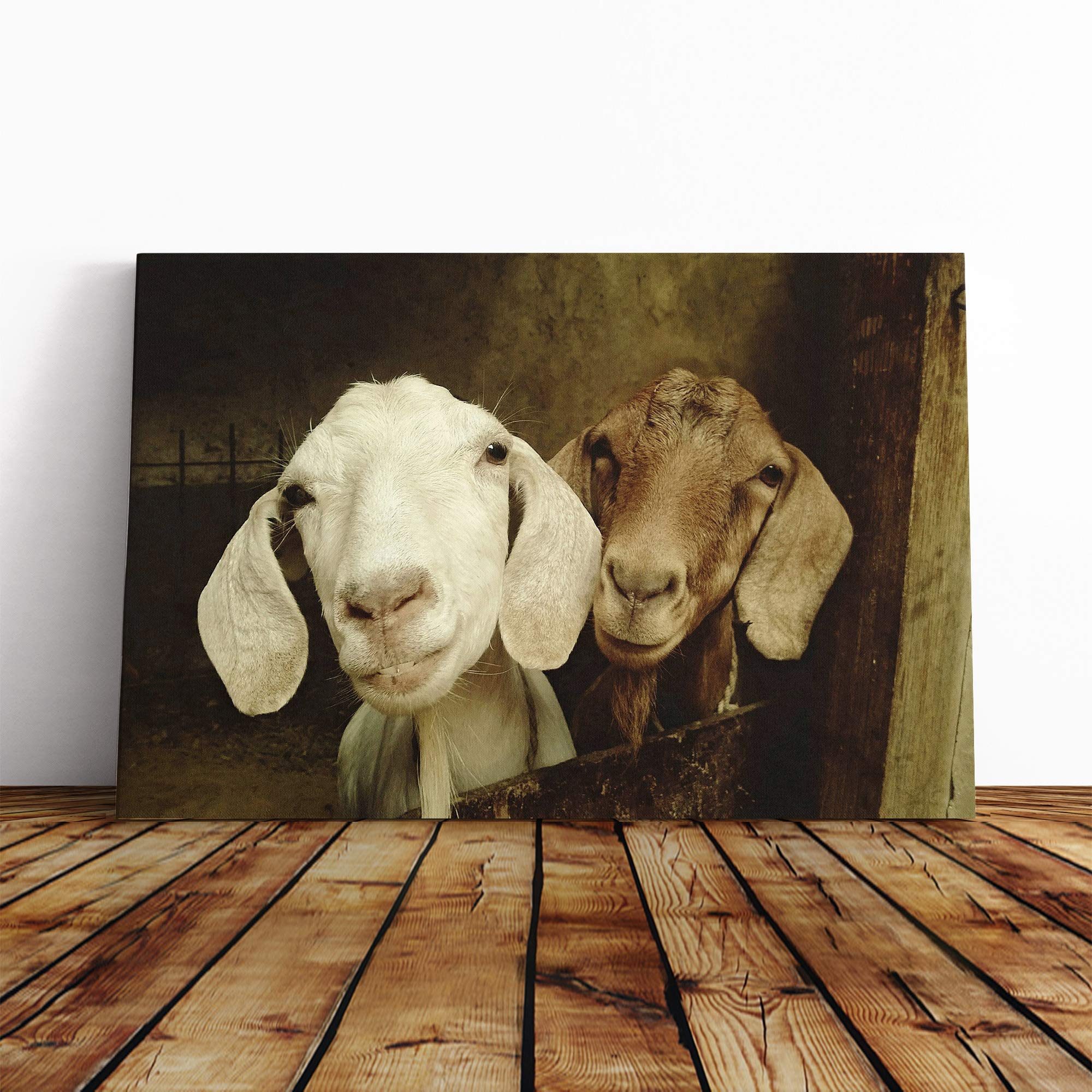 Pair of Goats Canvas Print | Gallery Wrapped 30mm Frame Wall Art | 30x20 inches | Ready to Hang | Modern Animal Picture | Living Room Bedroom Lounge Office