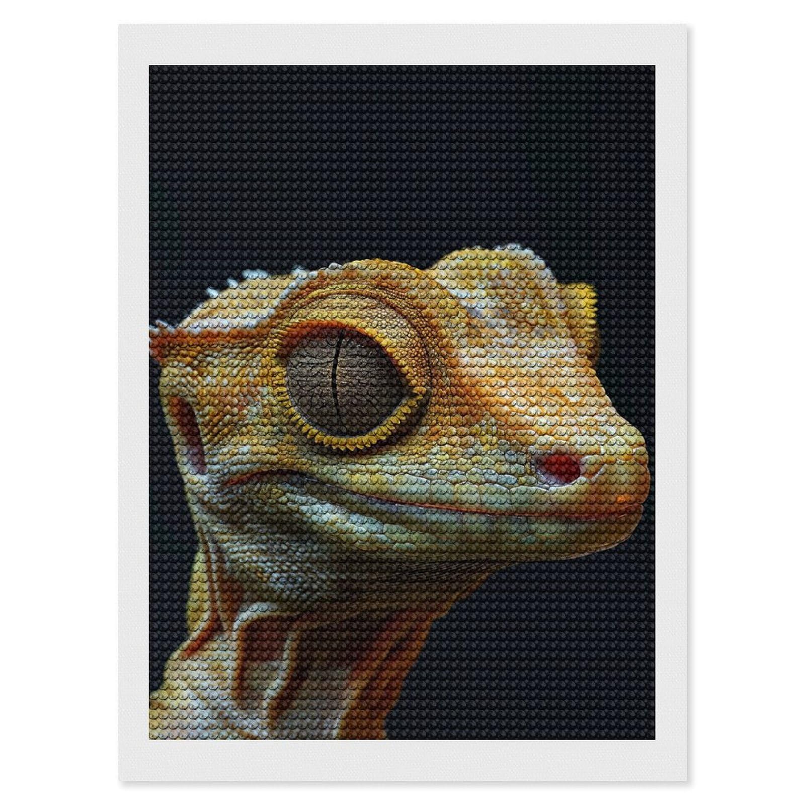 Junmoney Crested Gecko DIY Diamond Art Canvas Kit 12"x16", Adhesive Canvas, Easy to Enjoy, Farmhouse Decor, Festive Craft Gift