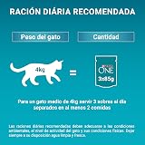 Ver la foto 6