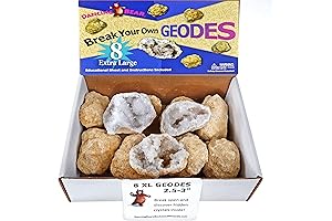 8 Dancing Bear Break Your Own Geodes With Crystals (2.5-3.5 in.) 90%...