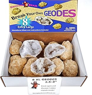 Dancing Bear 8 XL Break Your Own Geodes, (2.5-3.5") 90% Hollow, Crack Open & Discover Amazing Surprise Crystals Inside! Educational Info and Instructions Included, Fun Party Favors & Prizes