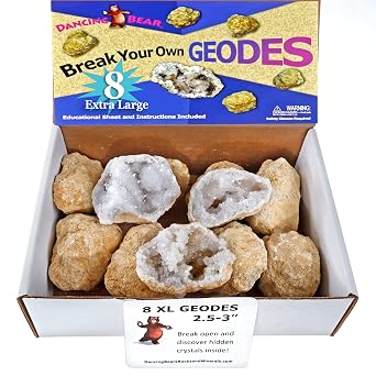 DANCING BEAR 8 XL Break Your Own Geodes, 2.5-3.5" 90% Hollow, Crack Open & Discover Amazing Surprise Crystals Inside! Educational Info and Instructions Included, Fun Party Favors & Prizes
