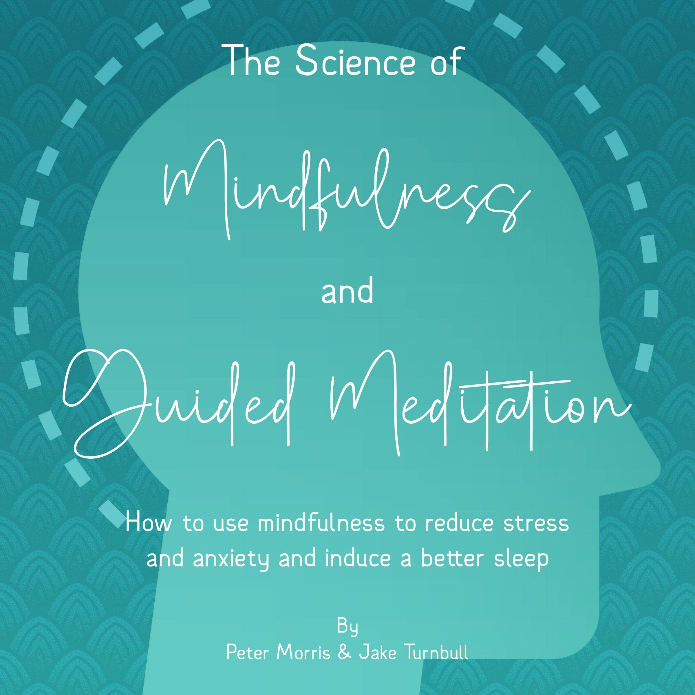 The Science of Mindfulness and Guided Meditation
