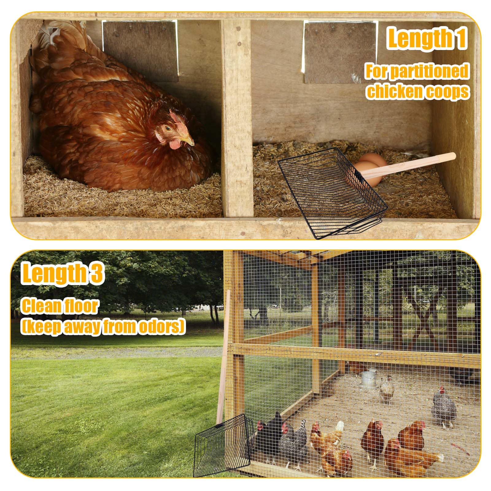 Gosknor Paletta Lettiera Pollo, Strumento Pulizia Pollaio in Acciaio Inossidabile 3 in 1 Strumento Staccabile Paletta Lettiera Pollo Manico Lungo Paletta per Escrementi di Pollo Accessori Pollaio