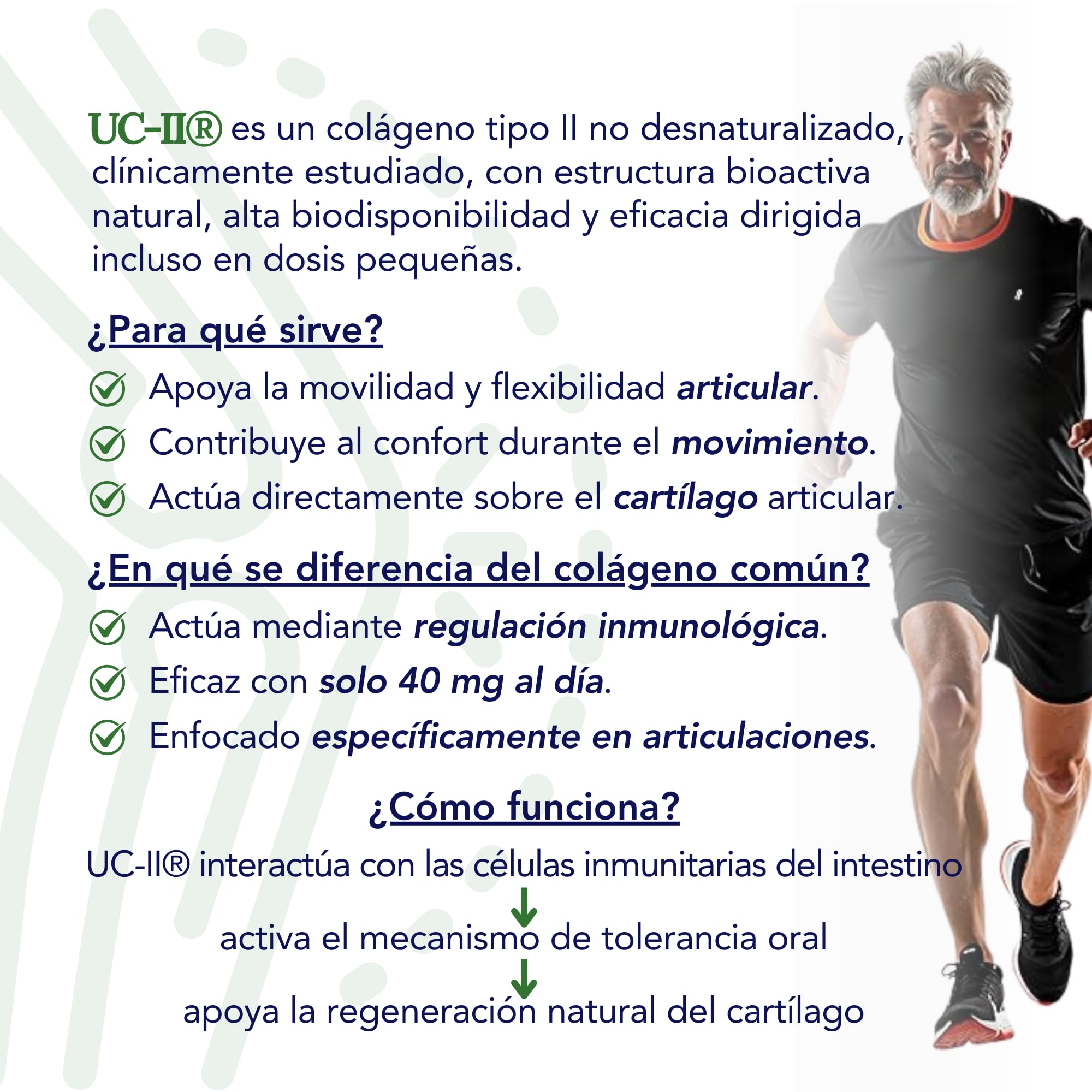 Colágeno UC-II, Omega 3 TG, Glucosamina y Condroitina, Calcio, Magnesio, Cobre, Zinc y Vitamina D3K