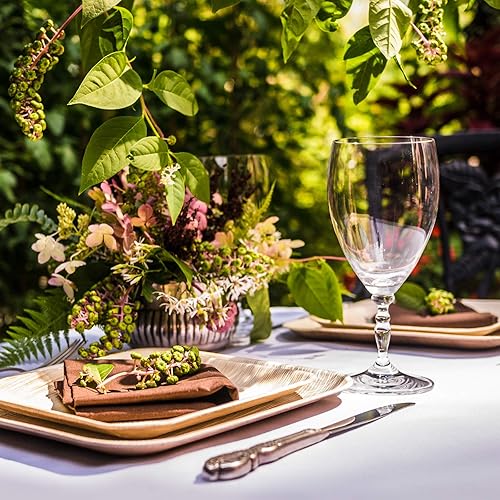 Miniatura 9 de Aevia Platos de hoja de palma de 10 pulgadas, mejores que los platos de bambú desechables, platos de fiesta compostables, biodegradables y