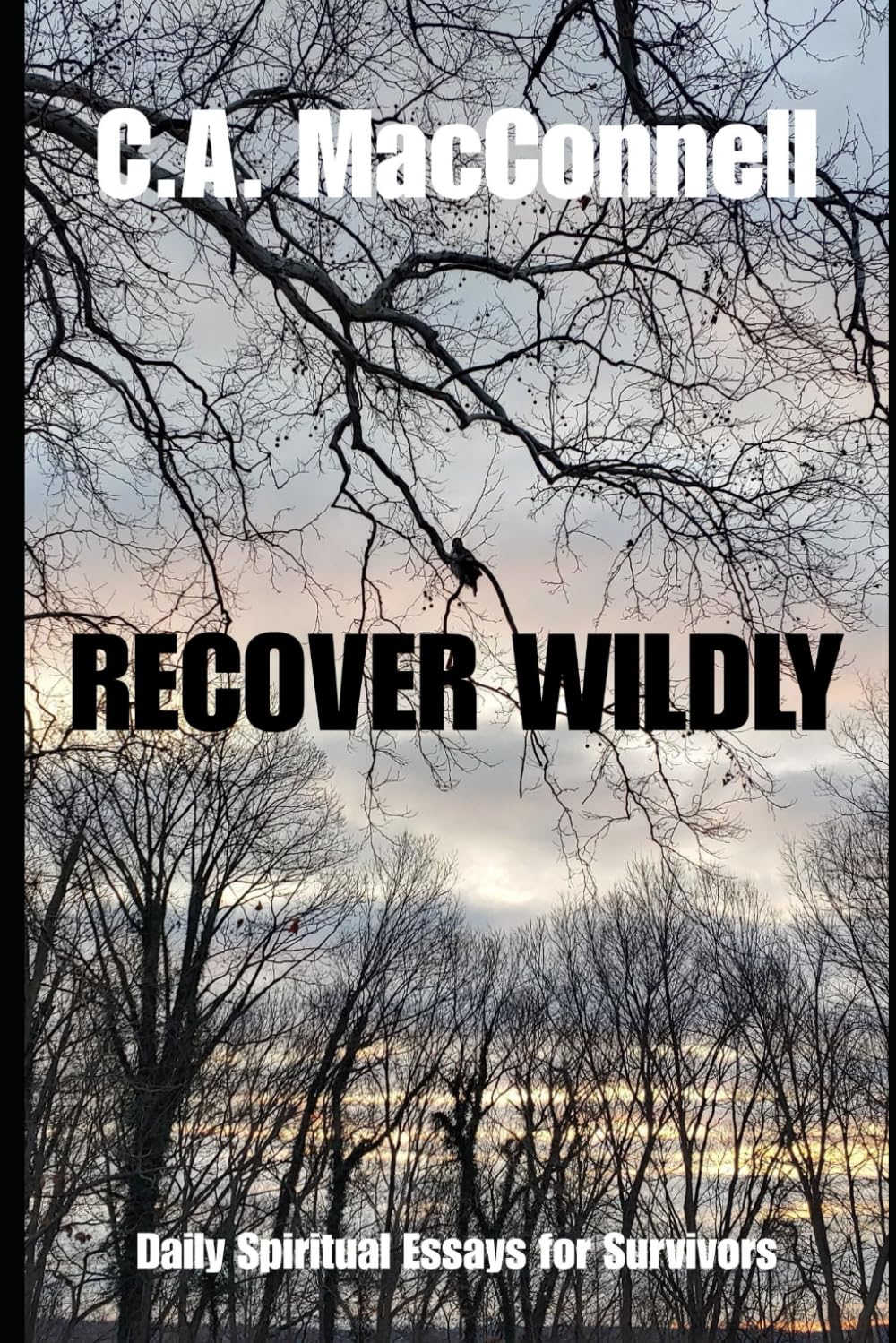 RECOVER WILDLY: DAILY SPIRITUAL ESSAYS FOR SURVIVORS