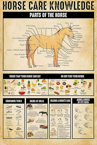 Miniatura 1 de Carteles divertidos de metal para el cuidado del caballo con texto en inglés "Food That Your Horse Can Eat" (Alimentos que tu caballo puede comer),