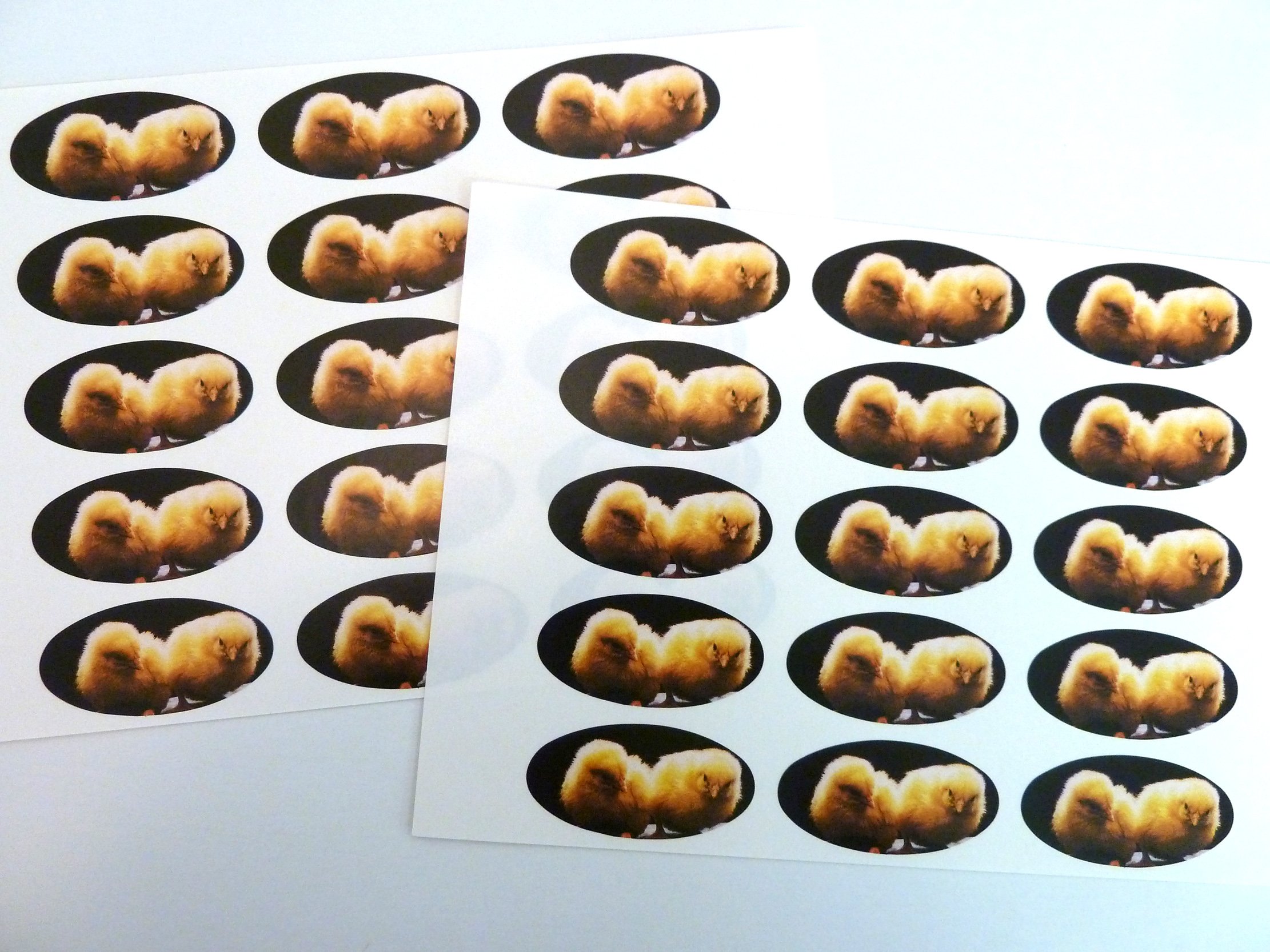 Lot De 30, Bumble Bee Joints, 25 X 51 Mm, Ovale, D'étiquettes