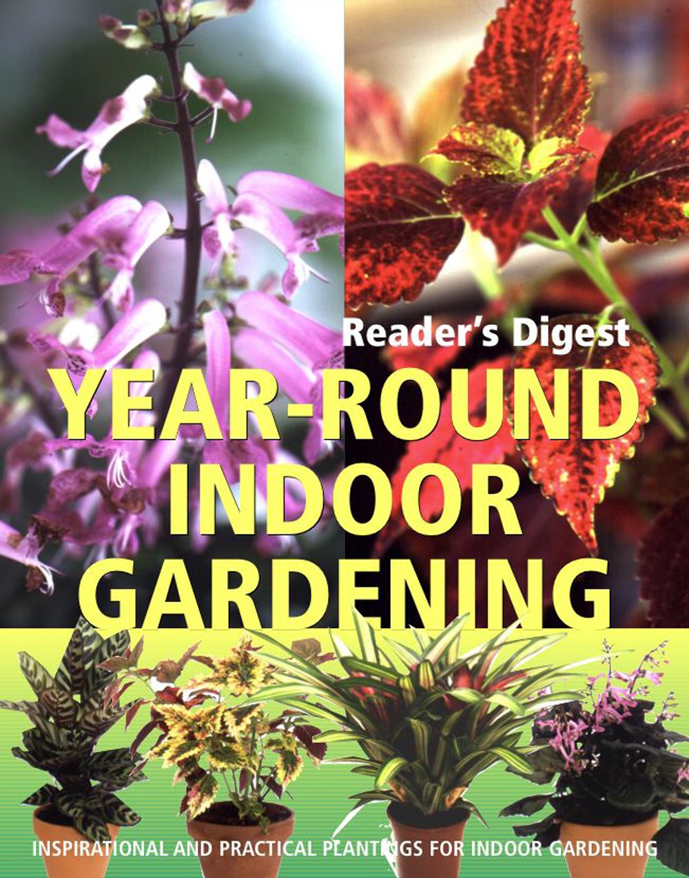 Year-Round Indoor Gardening