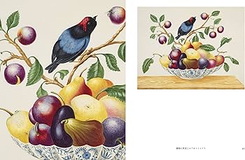 マリア・シビラ・メリアンと娘たち　科学と芸術の女性 彼女の芸術は科学に情報を与える：マリア・シビラ・メリアン, by